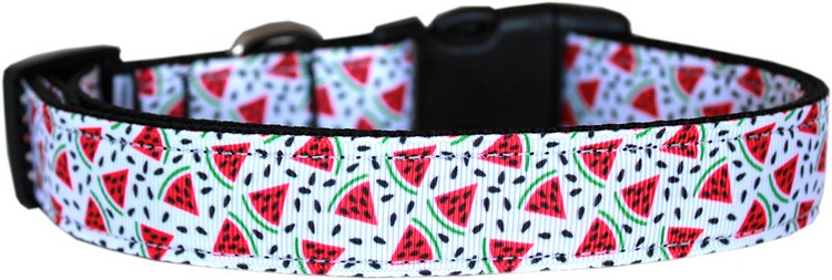 Watermelon Nylon Dog Collar SM